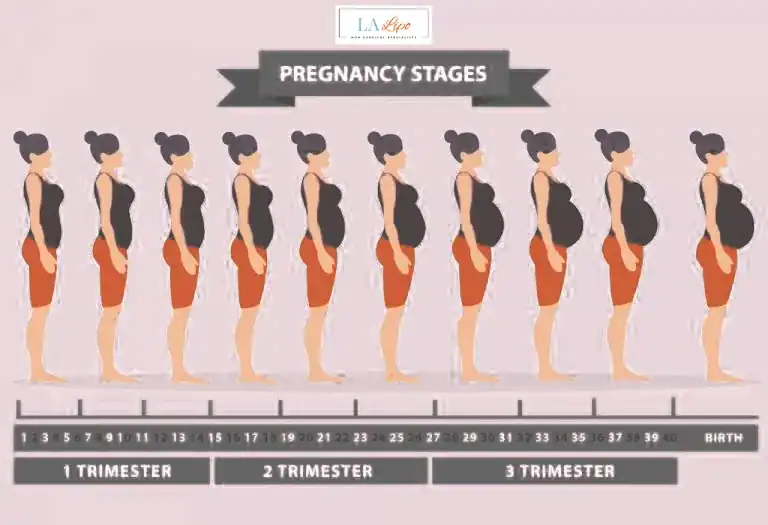 First Trimester (Weeks 1–12): Early Changes You Might Not Notice Aylesbury